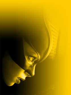DVD Catwoman - Catwoman en DVD - Pitof dvd - Halle Berry dvd - Benjamin Bratt dvd