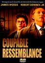 Coupable ressemblance 