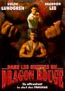 Tia Carrere en DVD : Dans les griffes du Dragon Rouge