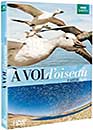 DVD, A Vol. d'oiseau sur DVDpasCher