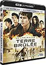 DVD, Le Labyrinthe : La Terre Brle (Ultra HD Blu-ray + Blu-ray + Digital HD) sur DVDpasCher