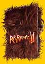  RRRrrrr !!! - Edition collector limite 
 DVD ajout le 10/07/2004 