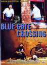  Blue gate crossing 