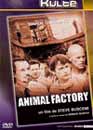 DVD, Animal factory - Kulte sur DVDpasCher