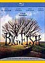 DVD, Big fish (Blu-ray) sur DVDpasCher