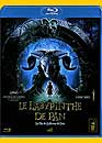 Le labyrinthe de Pan (Blu-ray)