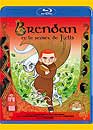 DVD, Brendan et le secret de Kells (Blu-ray) sur DVDpasCher