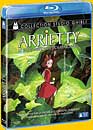 DVD, Arrietty : Le petit monde des chapardeurs (Blu-ray) sur DVDpasCher