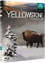 Yellowstone, la lutte pour la vie (Blu-ray)