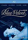 DVD, Blue velvet - Edition collector digibook (Blu-ray + DVD) sur DVDpasCher