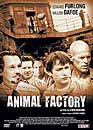 DVD, Animal factory - Edition 2009 sur DVDpasCher